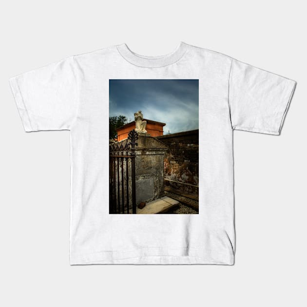 A Fence A Wall and A Headless Angel Kids T-Shirt by MountainTravel